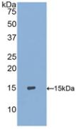 40599
