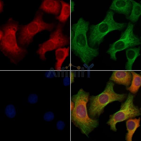 Валидация Affinity AF6120 - 3333