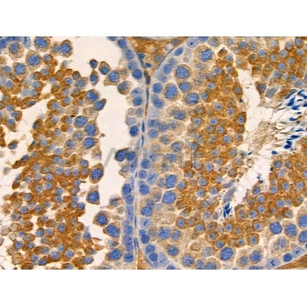 Валидация Affinity DF4107 - 15395