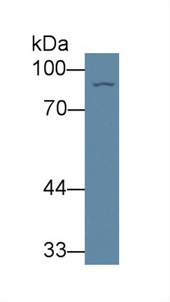 8908