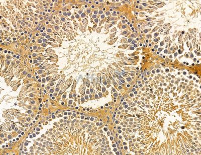 Валидация Affinity DF14599 - 10618