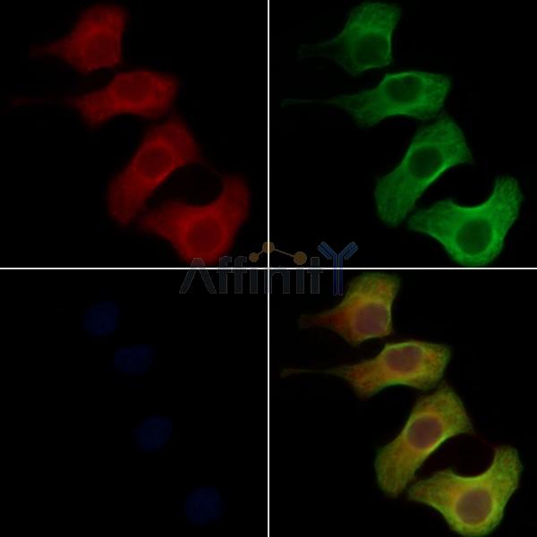 Валидация Affinity DF5214 - 17210