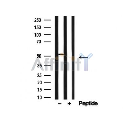 Валидация Affinity AF4776 - 2395