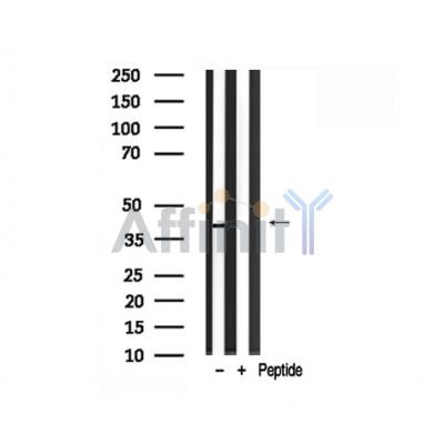 Валидация Affinity AF7829 - 4554