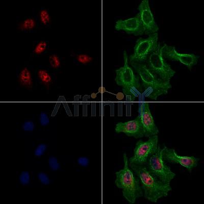 Валидация Affinity AF7834 - 4560