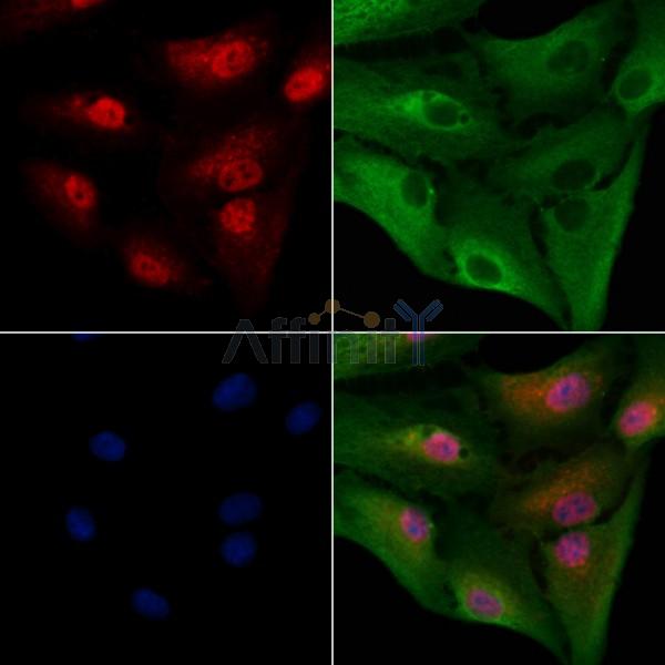 Валидация Affinity DF6529 - 17950