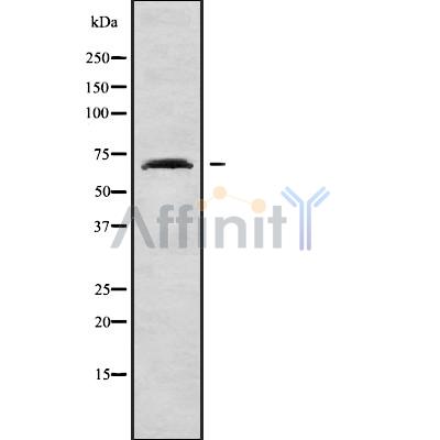 Валидация Affinity DF10160 - 5692