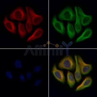 Валидация Affinity DF6650 - 18128