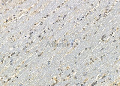 Валидация Affinity DF9082 - 21364