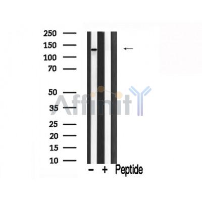 Валидация Affinity AF7883 - 4624