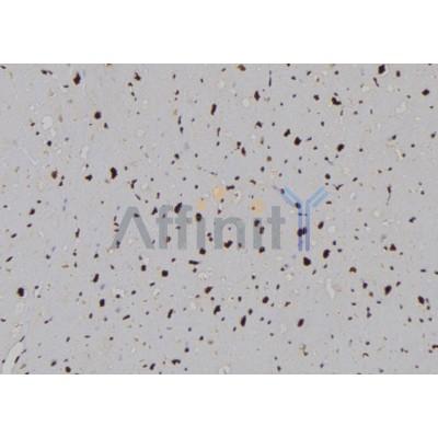 Валидация Affinity DF6726 - 18256