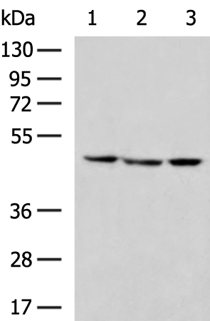 Валидация AssayVector ARM1621(1723)