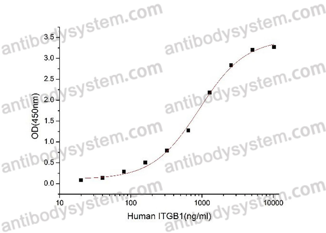 Валидация активности AntibodySystem AHC31201