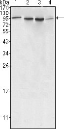Валидация Affinity BF0515 - 5285