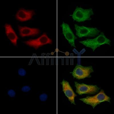 Валидация Affinity DF12590 - 7209