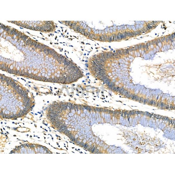 Валидация Affinity DF4782 - 16507