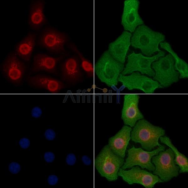 Валидация Affinity DF3218 - 14040