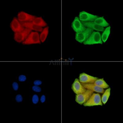 Валидация Affinity DF14409 - 10344