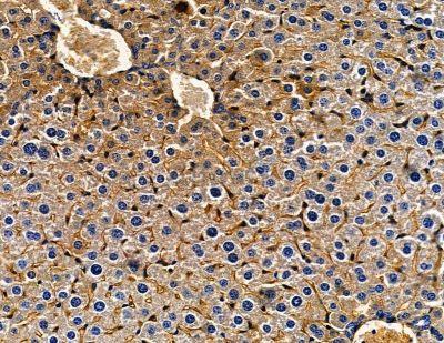 Валидация Affinity DF13821 - 9507