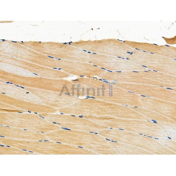 Валидация Affinity DF6497 - 17895