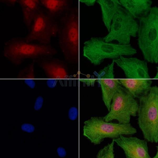 Валидация Affinity DF3915 - 15094