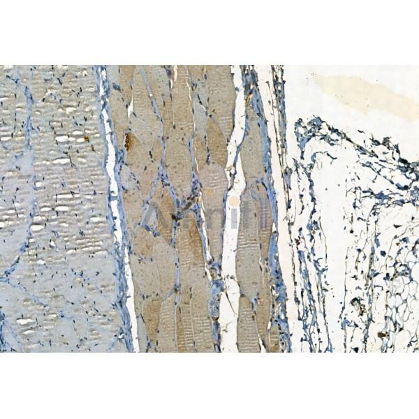 Валидация Affinity DF5152 - 17117