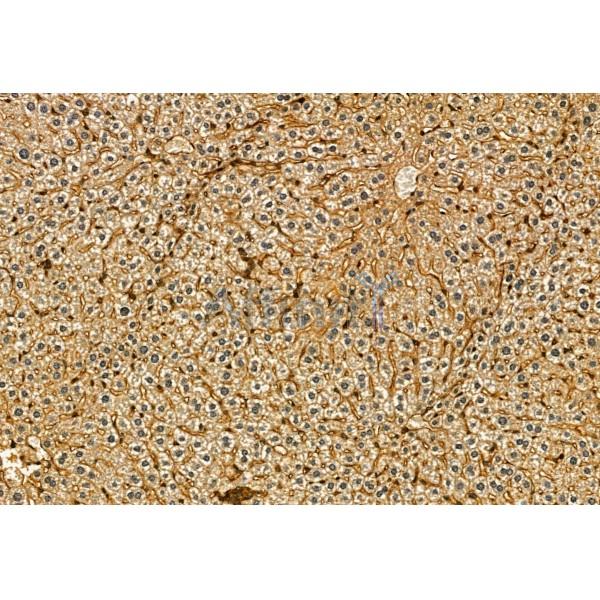 Валидация Affinity DF2306 - 12868