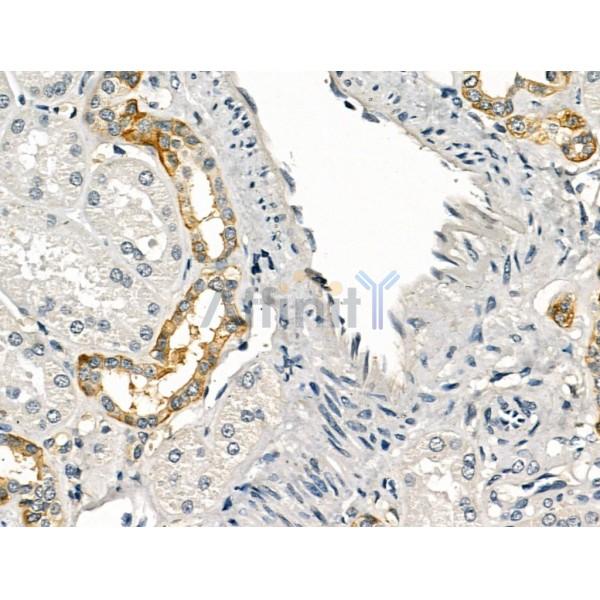 Валидация Affinity DF13236 - 8286