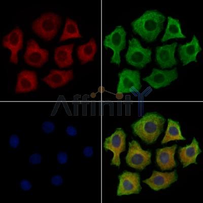 Валидация Affinity DF9122 - 21439