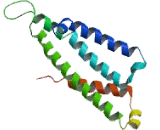 G Protein Coupled Receptor 88 (GPR88) G Protein Coupled Receptor 88 (GPR88)