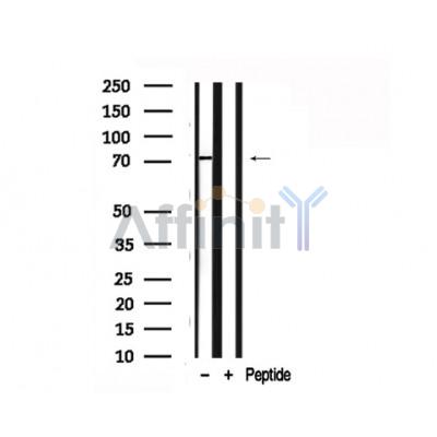 Валидация Affinity AF7726 - 4422