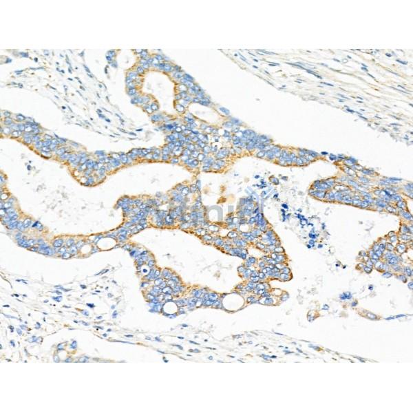 Валидация Affinity DF4209 - 15571