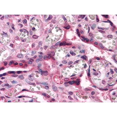 Валидация Affinity BF0319 - 5218