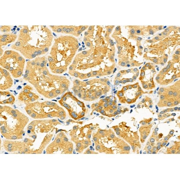 Валидация Affinity DF6346 - 17688