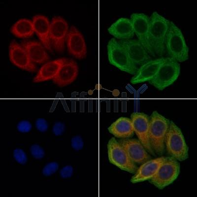 Валидация Affinity DF7890 - 19713