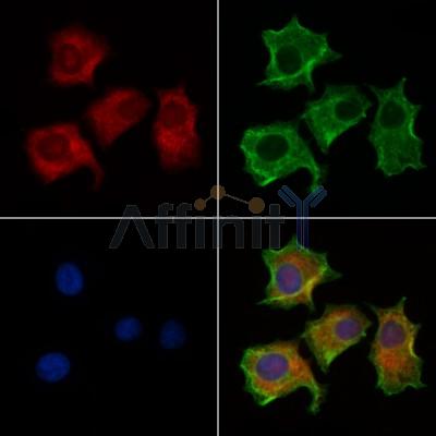 Валидация Affinity AF6186 - 3412