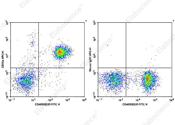 Валидация Elabscience AN00328E