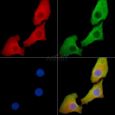 Валидация Affinity DF14117 - 9910