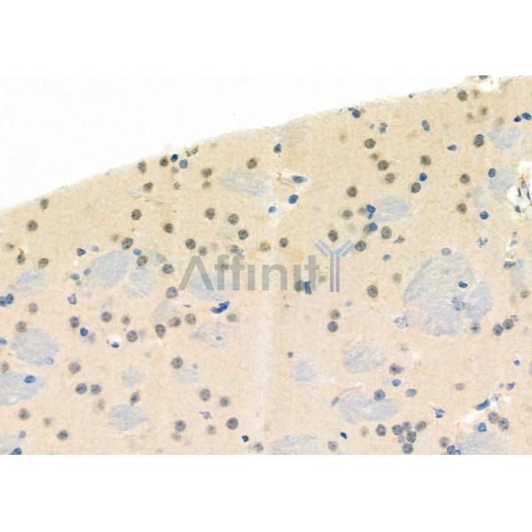 Валидация Affinity DF9866 - 22795