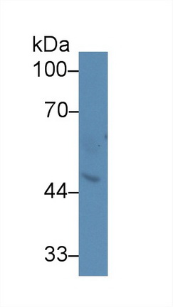 14600