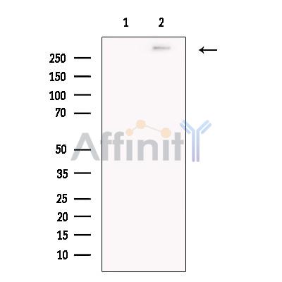 Валидация Affinity DF13210 - 8216