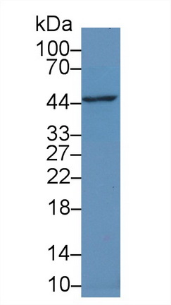 14710