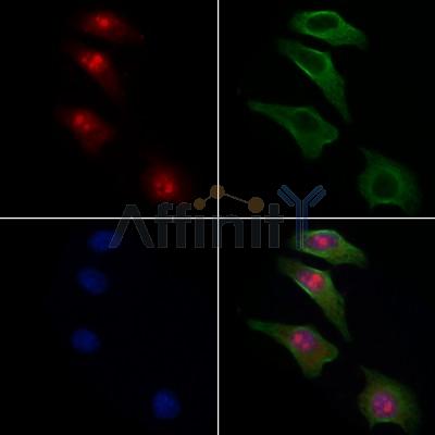 Валидация Affinity DF6840 - 18411