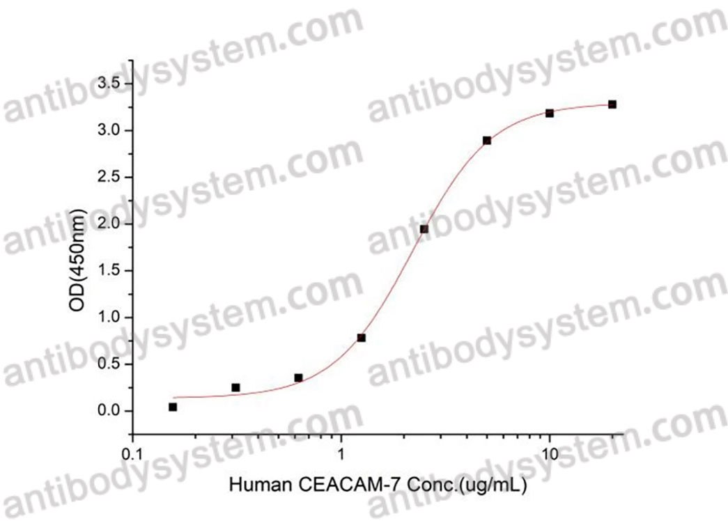Валидация активности AntibodySystem AHE25501