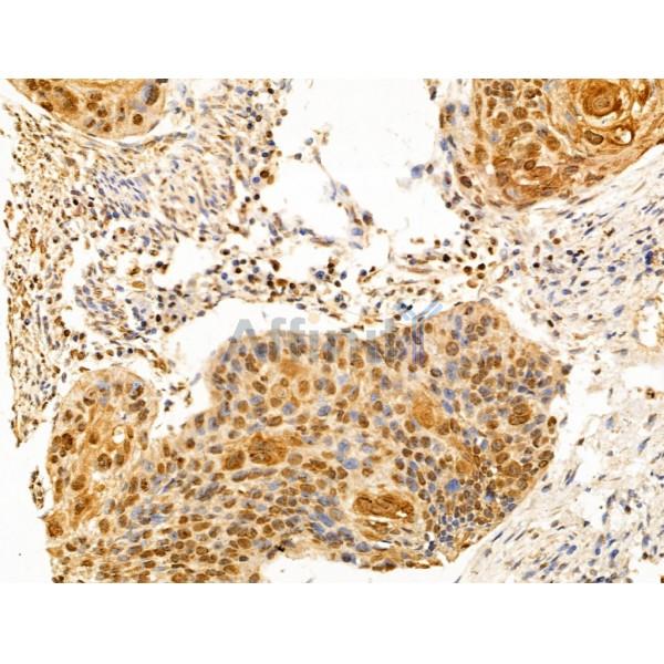 Валидация Affinity DF13529 - 8944