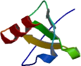 Macrophage Derived Chemokine (MDC) Macrophage Derived Chemokine (MDC)