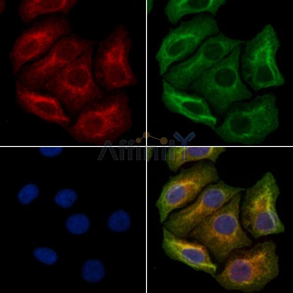 Валидация Affinity AF9146 - 4943