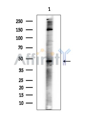 Валидация Affinity AF6631 - 3922