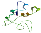 IGF Like Family, Member 3 (IGFL3) IGF Like Family, Member 3 (IGFL3)