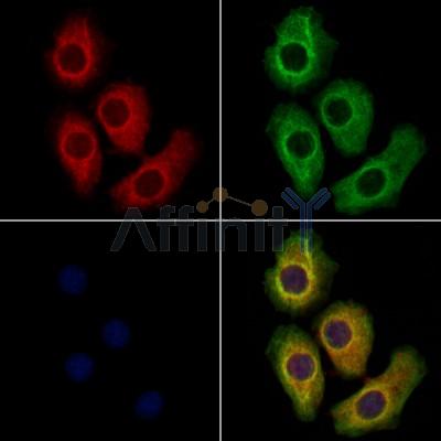 Валидация Affinity DF12496 - 7074